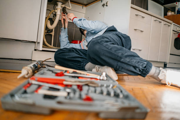 Best Local Plumber Services  in Centerville, CA